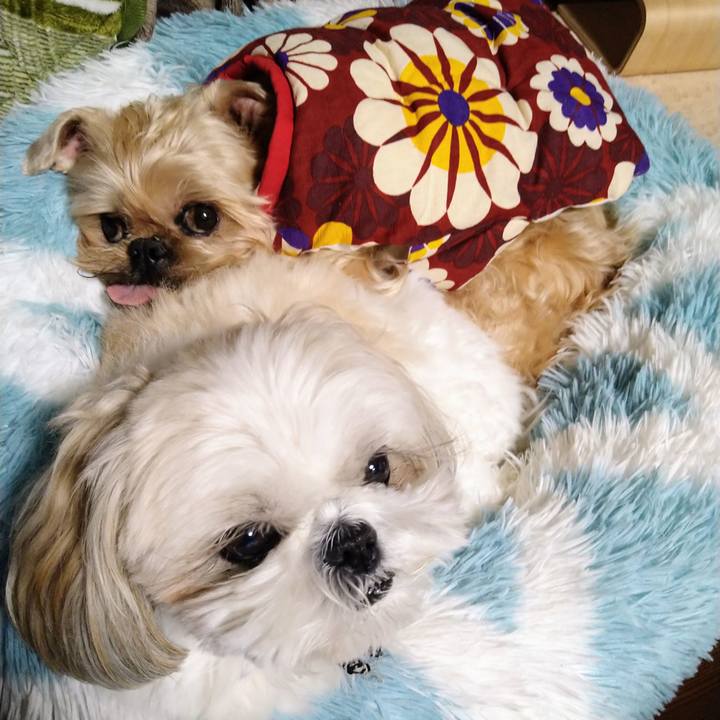 E36bb56f e8ff 4959 bba2 62dfa612e379 1641389517227