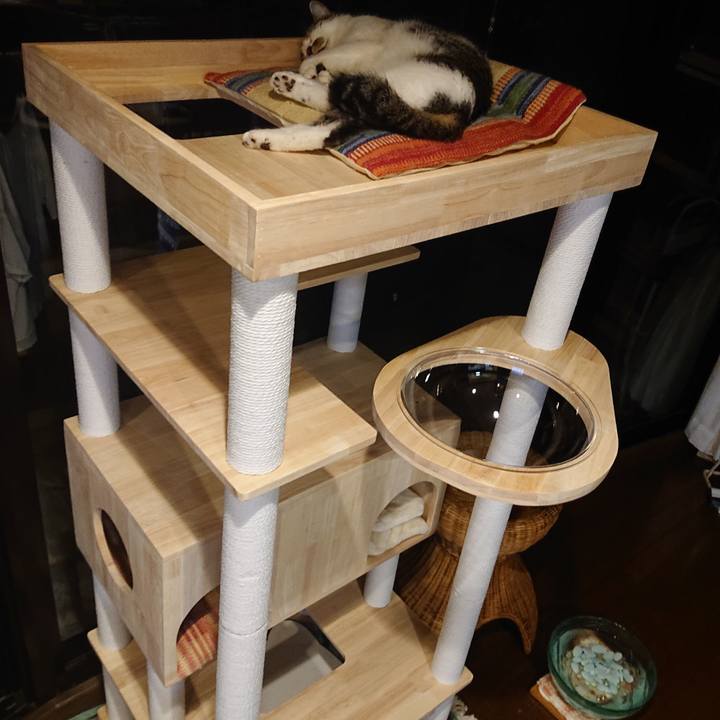 E36bbacc 2ab9 4602 a4de 7f73306bdf60 1657459912210