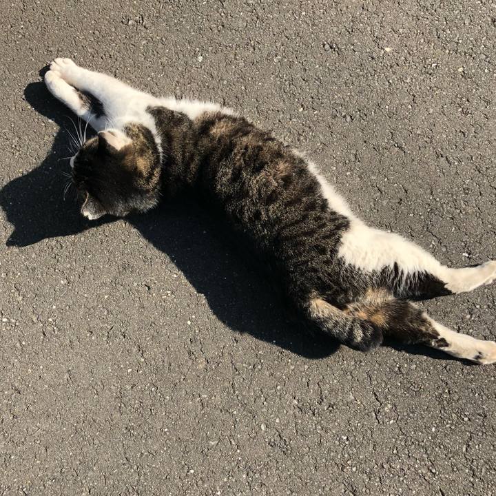 E36bbf66 a3fc 442c 898e 0839372f5ec9 1513828764779