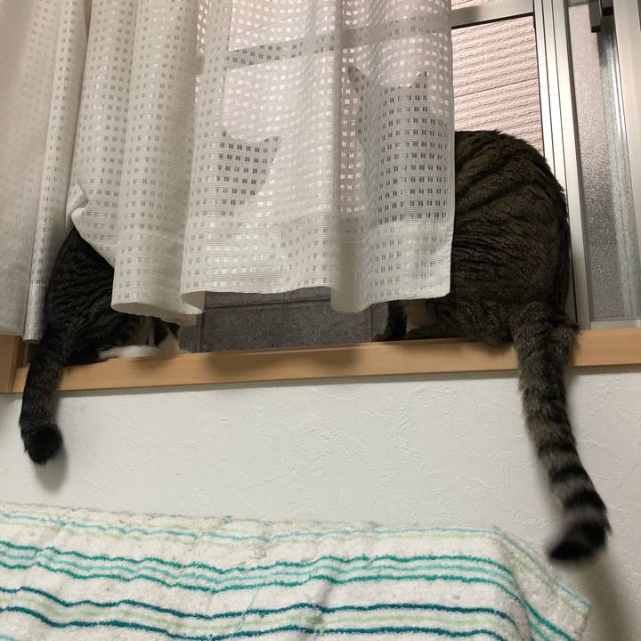 E36bc76f 4336 4731 9566 9a57f16dac7b 1531603721474