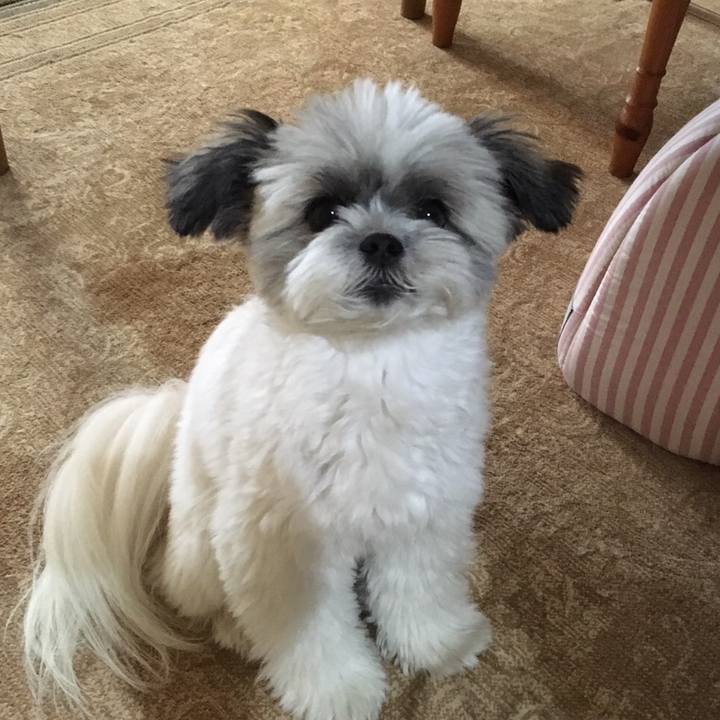 E36c4240 39cb 461c ab02 5a5fb4d6ff7b 1532558215685