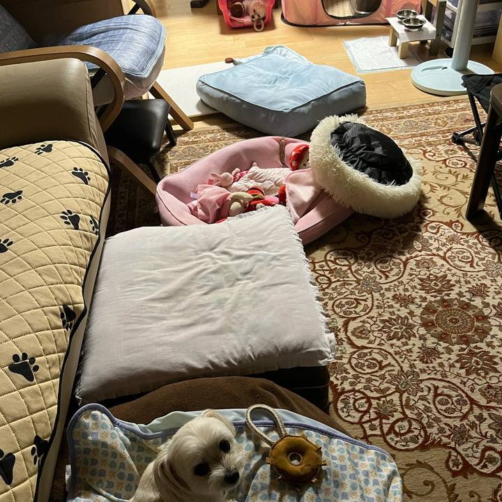 E36c7aba 4201 47ea 82fd 66c7625ff875 1722164778128