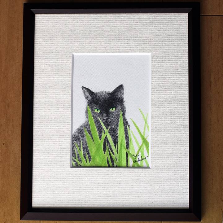 E36c86c2 18ac 4147 ada1 2294463d707e 1511135154062