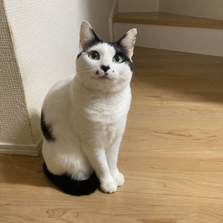 E36c87ea 4415 46be 9577 f8be76650eff 1775335928281