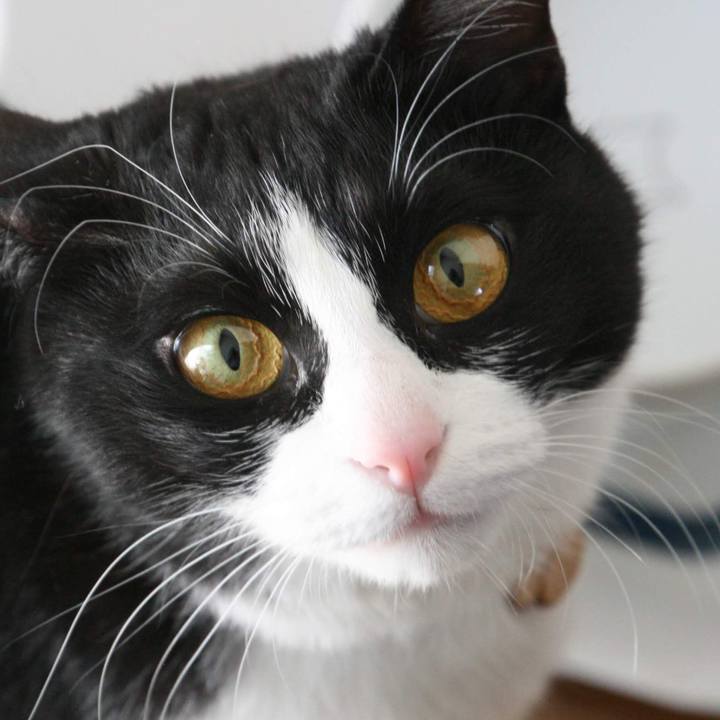 E36cb81f e329 438f 983e 5802d50929b8 1554633079940