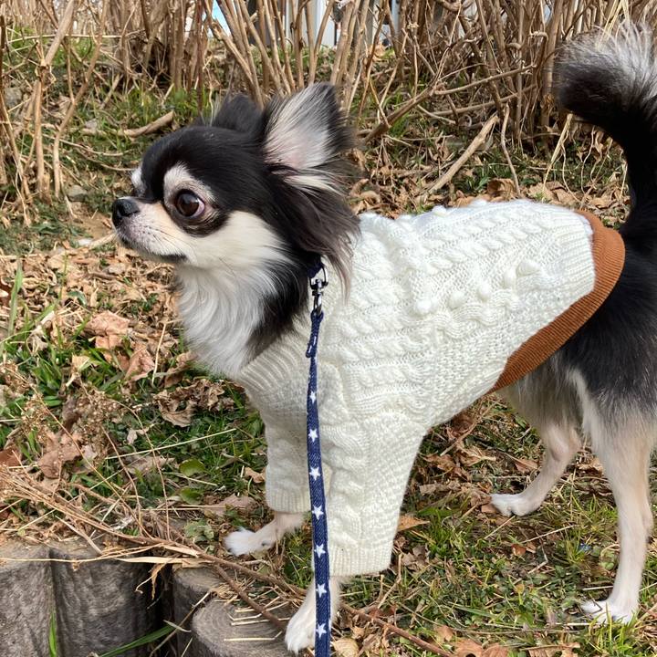 E36cbcfa 08fc 46df 91e8 e1bf225f7444 1643429283916