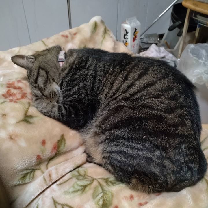 E36ce6c7 c9d0 4b30 8950 4932a2bbd16b 1727092301193