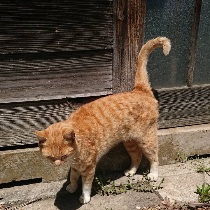 E36cfce9 8cb2 4bcf 8bc3 5270df185f2f 1588650717350