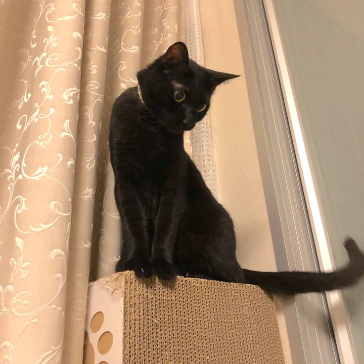 E36cfd09 12d2 4497 aef9 5164ea7ef623 1525699640320