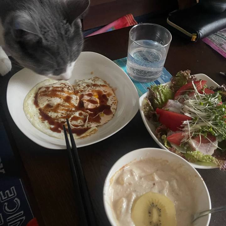 E36d1965 d1c2 4cba b218 7600bfb0aa1b 1720907496782