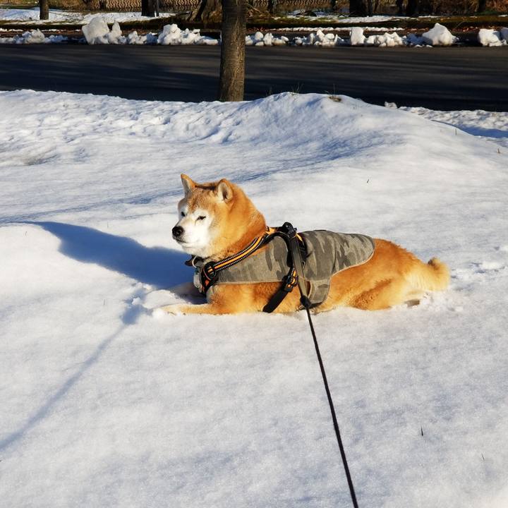 E36d2cb8 f6e4 4690 9ec6 d1a0da326c0f 1701064139042