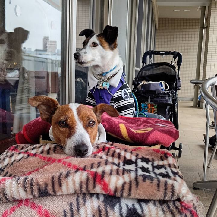 E36d3896 1138 453b 879c ff3346b6ad3e 1654752406662