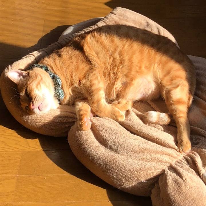 E36d5e3b 72b4 4095 9009 f6a88034c15f 1584833846524