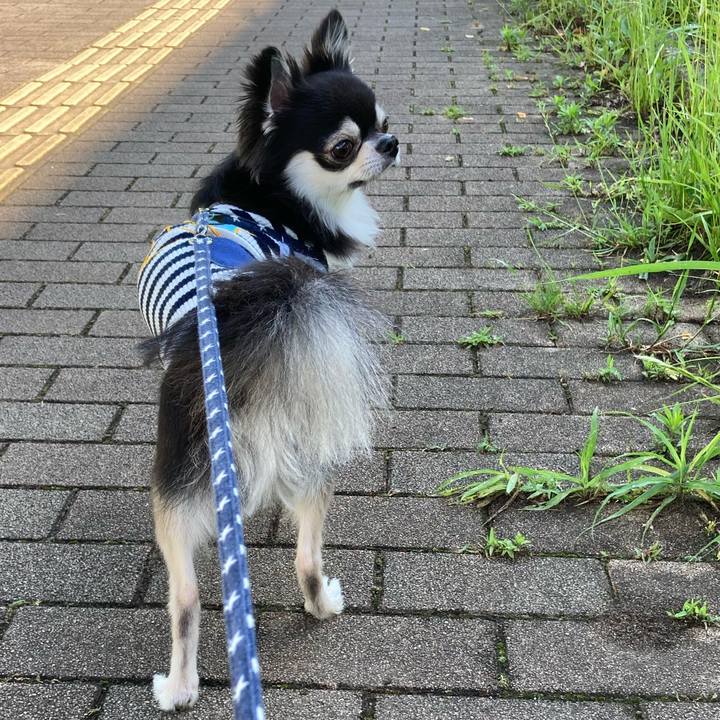 E36d71d1 7105 410f 861b 8a526fcea050 1654317153144