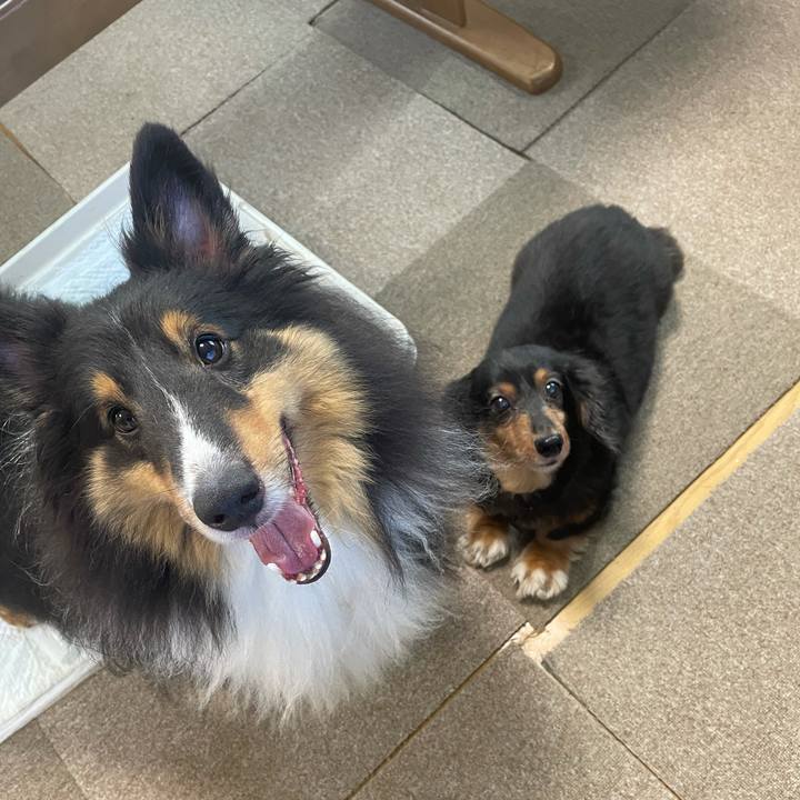 E36d78a3 9c79 45cd 87c7 d3df83b92638 1630273258473