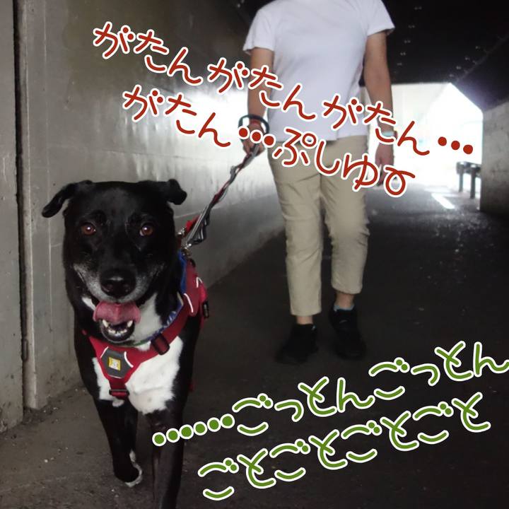 E36d8ad3 8334 41ba abe4 54398175606f 1693094171784