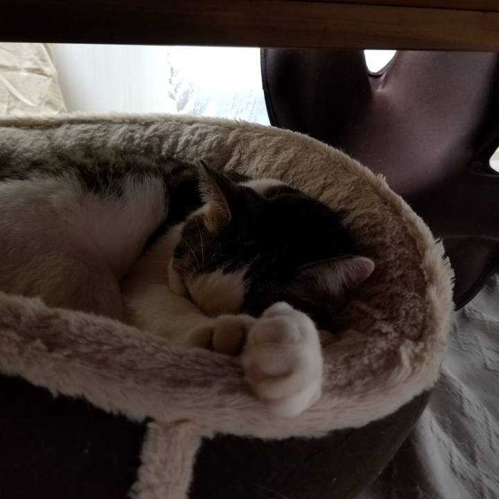 E36dbf4a a53c 4872 b9bf ba1e36f381e0 1611265461244