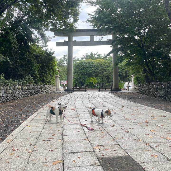 E36ddb28 9a86 445d 9128 e315c1c7cea1 1724798363111