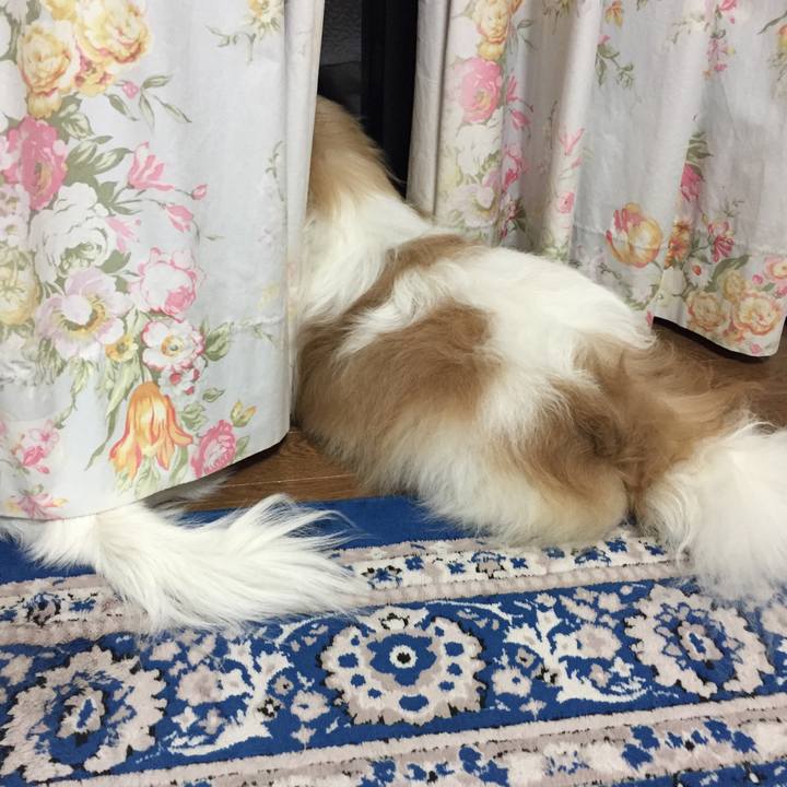 E36de6c4 7031 4983 b5ff 600185695691 1543569176611