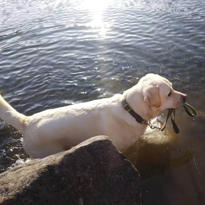 E36def9f 7bd4 441e 879b 0f0ff57c7cc2 1557308499329