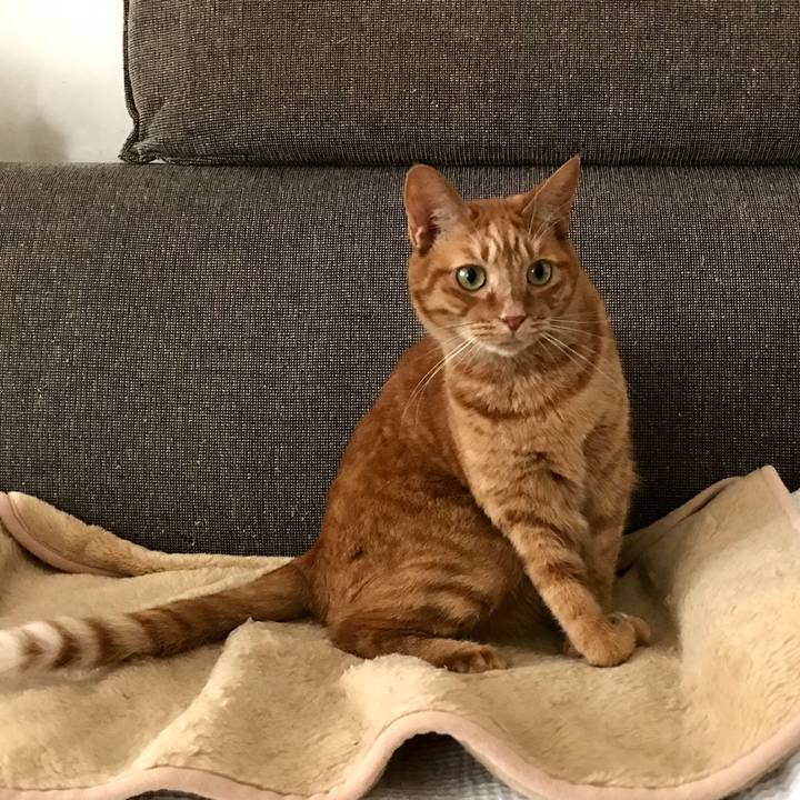 E36e177f 92c5 4109 b4d2 0916fae404b0 1508477559540