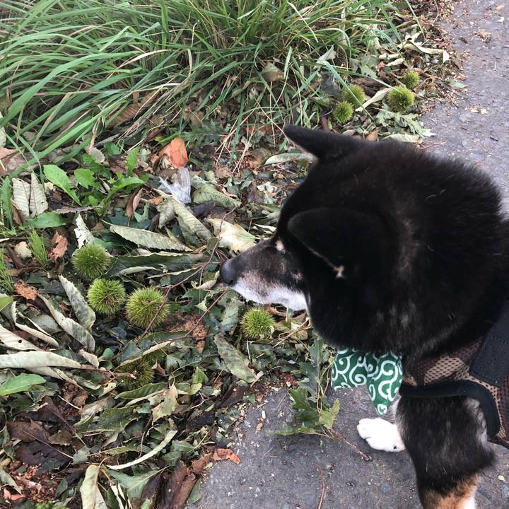 E36e1fca a1e1 4826 8627 612d4ca25797 1536325542447