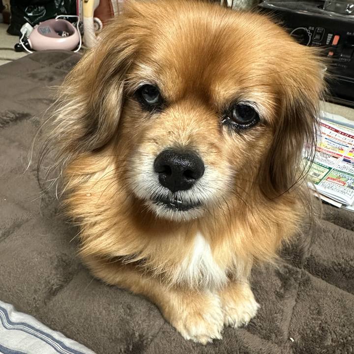 E36e97e1 2f69 49d1 88ea af8ede8c4ddb 1736198004693