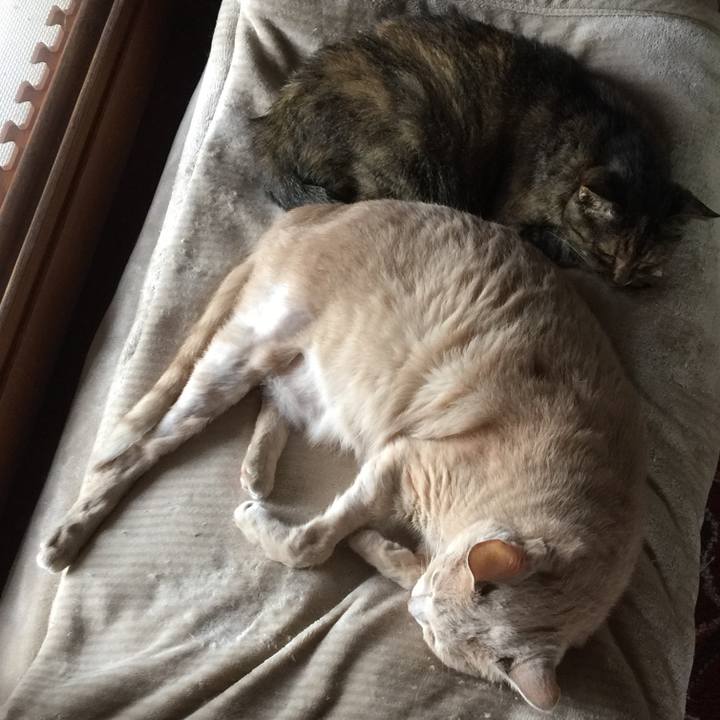 E36ed6f3 4a82 4fb6 b718 f4109d883ed2 1629243051753