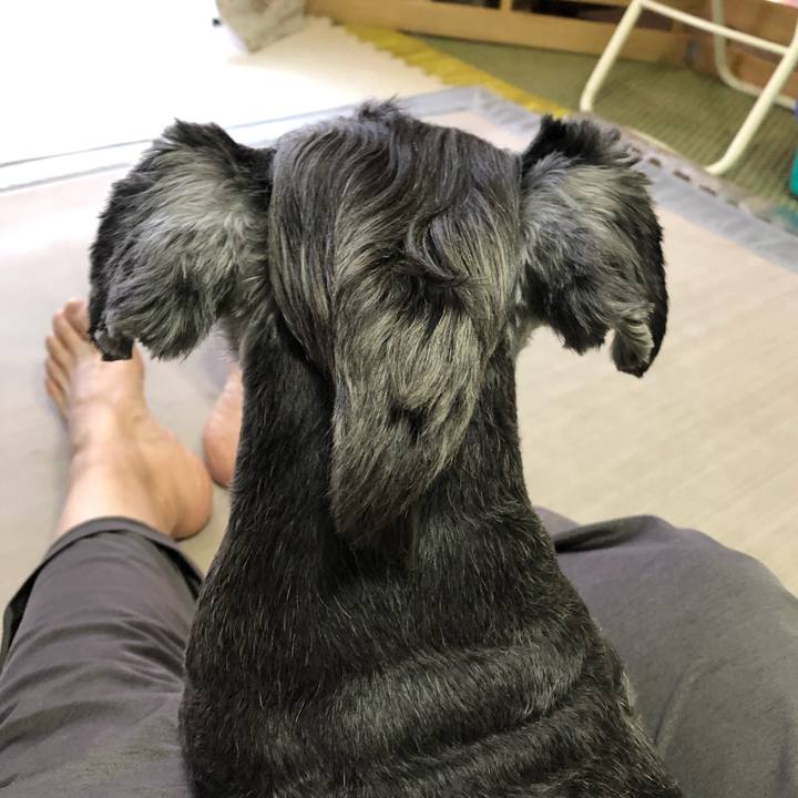 E36efc63 aadb 48ad 8f5c 41ce302187ec 1632550208418