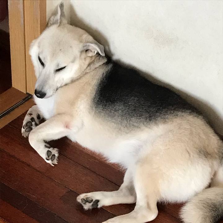 E36efd08 af27 4fa2 b52b d44c610ebb8a 1596510576797