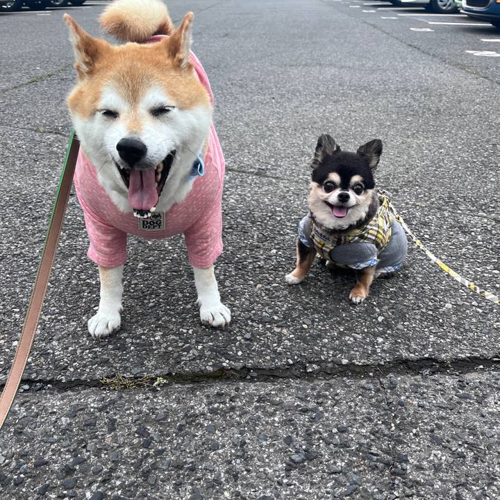 E36eff8f 5c15 416c a5d4 a3823e5d2001 1717401924404