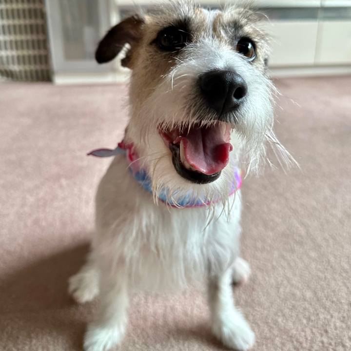 E36f09eb a8f1 4456 bb72 8208e39801d0 1686990117633