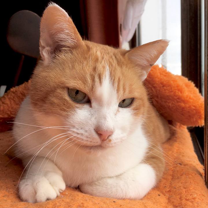 E36f4140 ee02 4208 8d0a 83fbe23bfe85 1576473444689