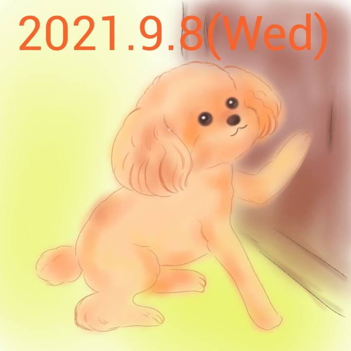 E36f8f0a 67b8 45bb 84ab 04dac6b270cf 1631104105472