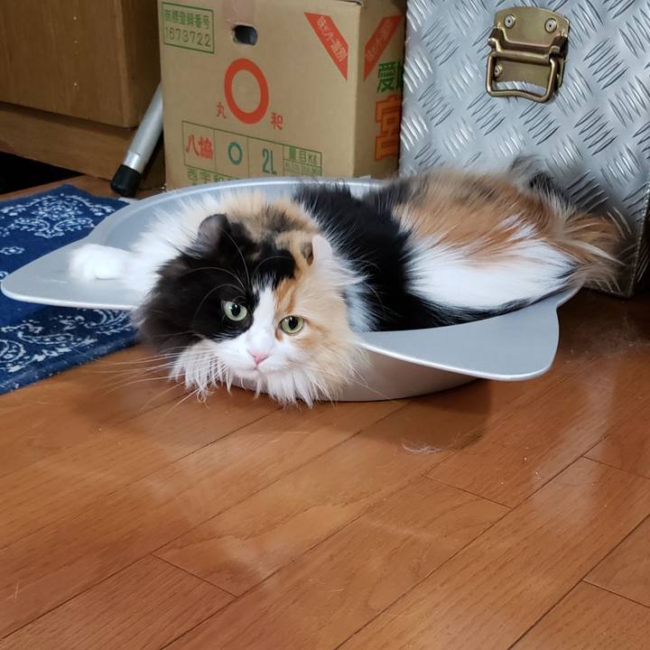 E36fad3d b1e0 4c59 ac64 20c5dd09379a 1657358284427