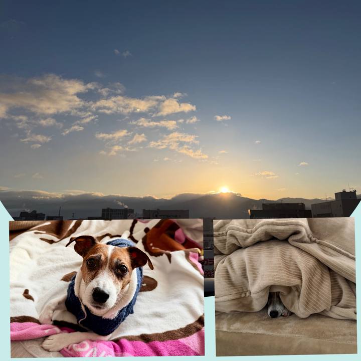 E36fe5a9 adec 4ab6 83b9 6d38ff63112a 1768951523867