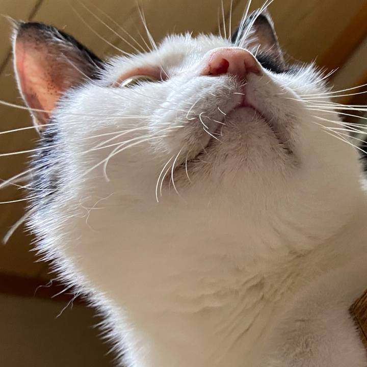 E37000b6 5950 47c0 aaaf af33a3e4cbb5 1599828023439