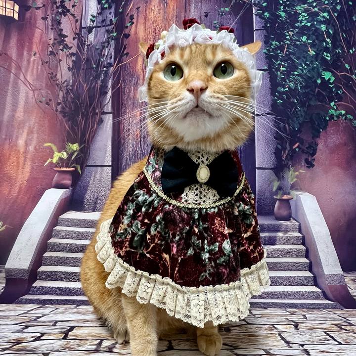 E3700661 1ea0 4eb4 b776 a6c6aee02b72 1726736264022