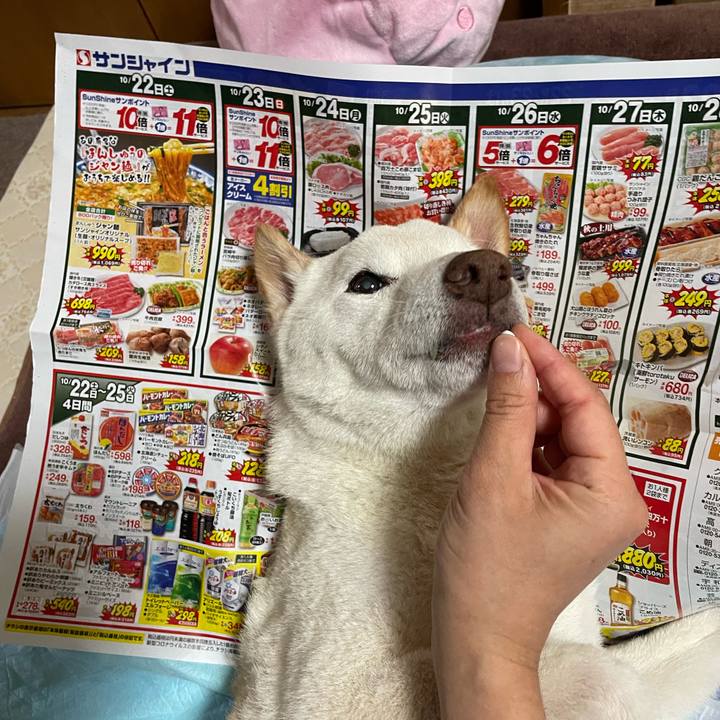 E3700adb 7f00 4885 a215 dd92d26f898f 1666404718620