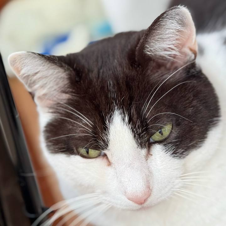 E37019ad a694 45f7 8aac 1fd20b1d7d59 1745634063741