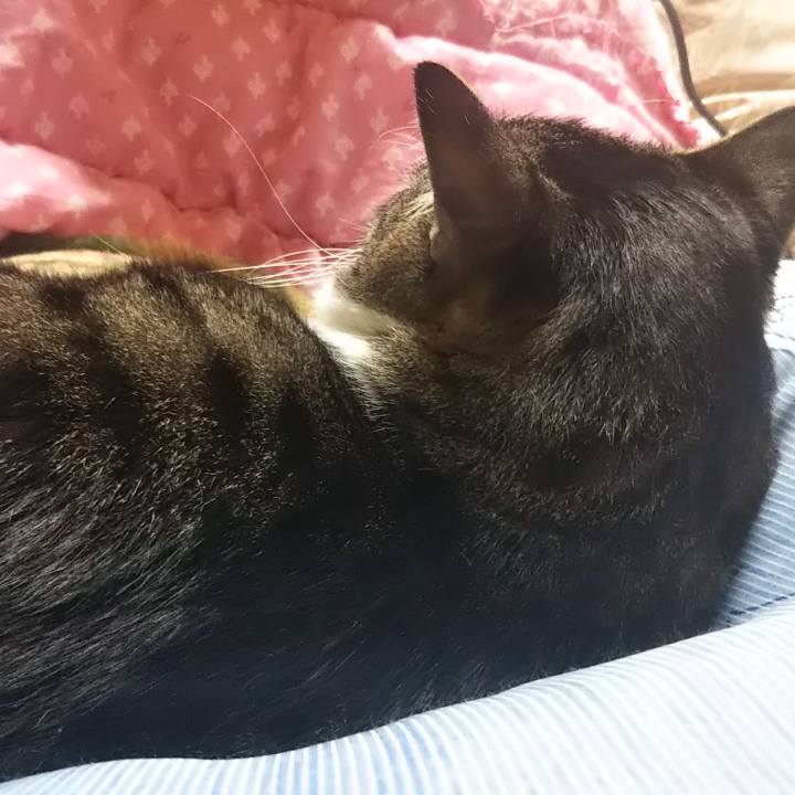 E3703a81 b122 46fe ba7c ffdb5125c6b6 1606829915145