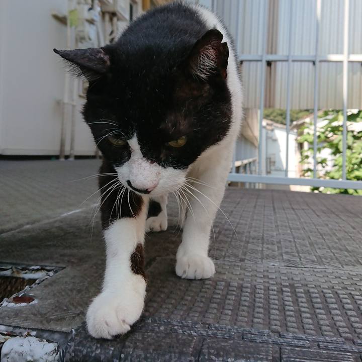 E3703c12 360a 48ea 92fa 40645b82e61b 1566697080415