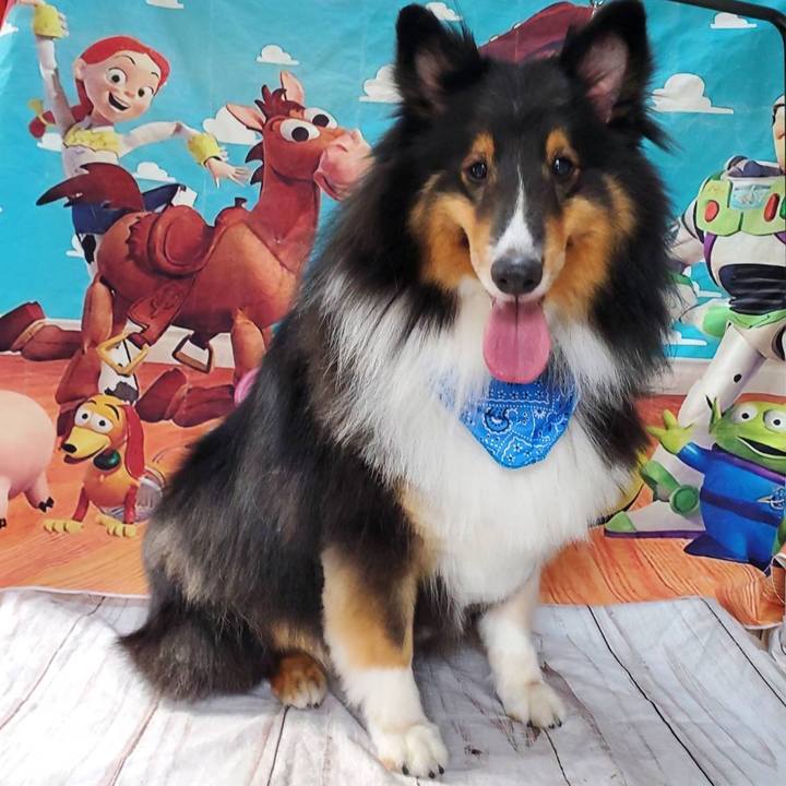 E3704fc4 751e 427c a909 10c38e4836a2 1655416239733