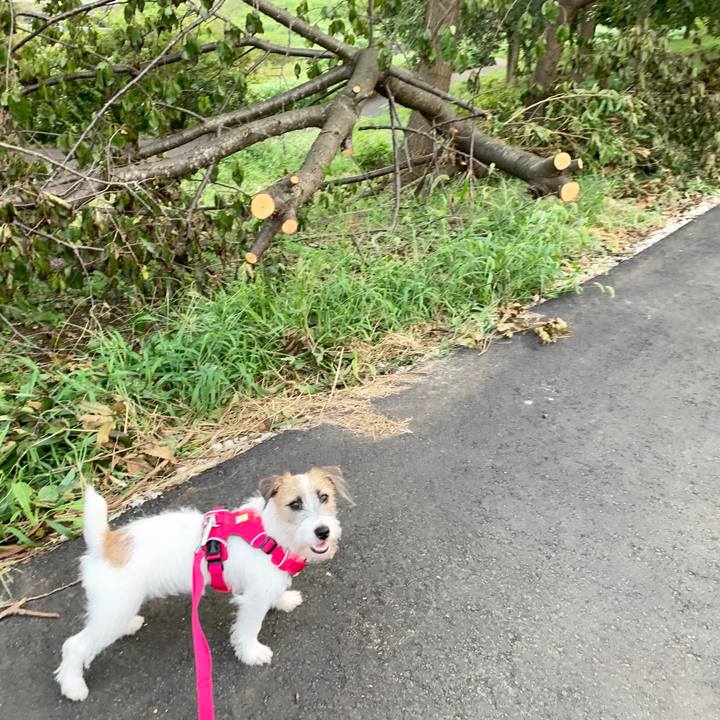 E3705d92 8fe7 4f0b bbd9 9561f43dc77c 1568279577948