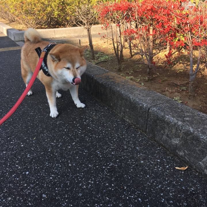 E37076c5 2bde 4b24 b889 24ca4660160c 1606797953051