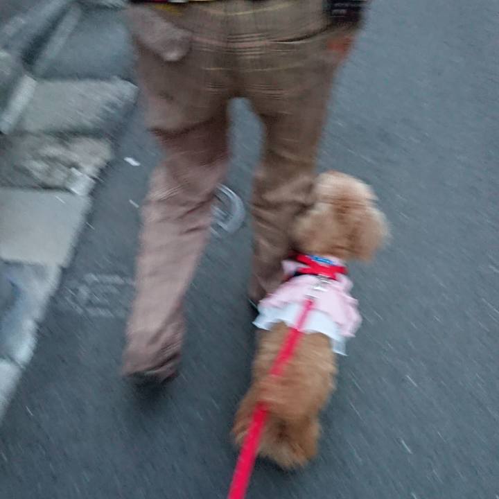 E370a7d5 5e99 4f32 9b1a 89aea320cac8 1593166728915