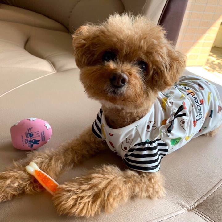 E370aa38 3e7a 413e b6e0 e3e840c1de2b 1597632680153