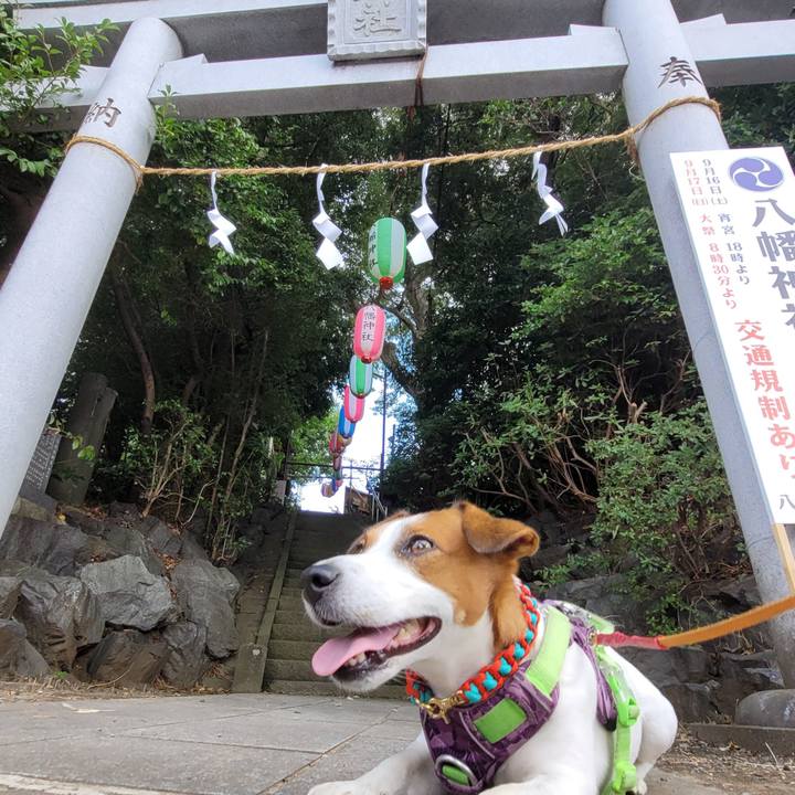 E370b829 779b 4ca1 9c87 8ad26a71fa78 1694922963009