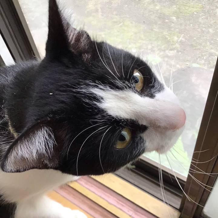 E370df35 f156 4d7d 9956 26ef8c408418 1654207740478