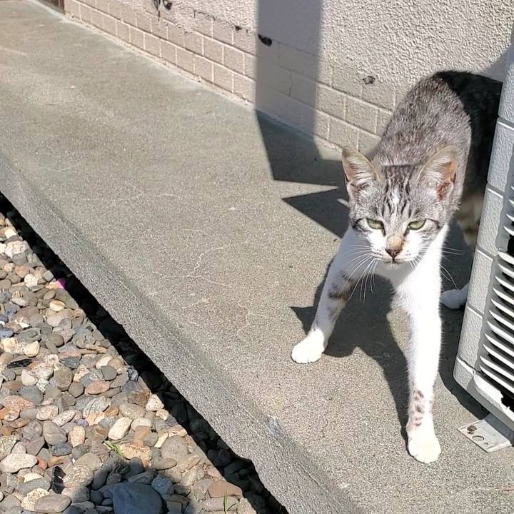 E370e342 2f4c 46cc b1e8 e55213dfdb4c 1720527242714